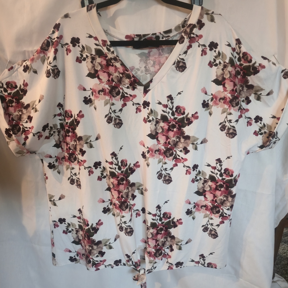 LAWLESS Pink and Cream Floral V-Neck Blouse